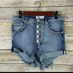 NEW One Teaspoon 24 Shorts Denim Lovers Low Waist